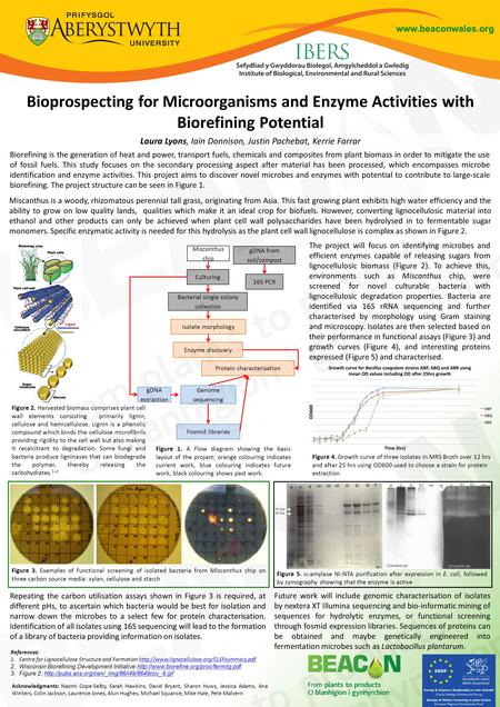 Www.beaconwales.org The project will focus on identifying microbes and efficient enzymes capable of releasing sugars from lignocellulosic biomass (Figure.