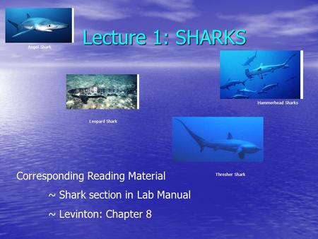 Lecture 1: SHARKS Corresponding Reading Material