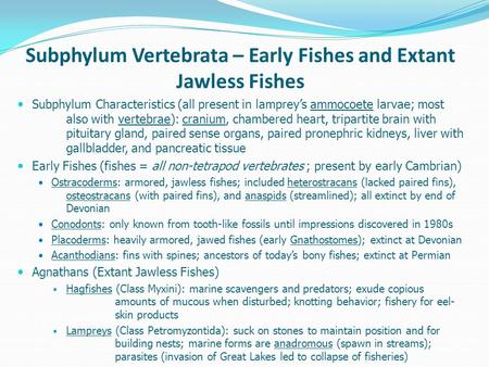 Subphylum Vertebrata – Early Fishes and Extant Jawless Fishes Subphylum Characteristics (all present in lamprey’s ammocoete larvae; most also with vertebrae):