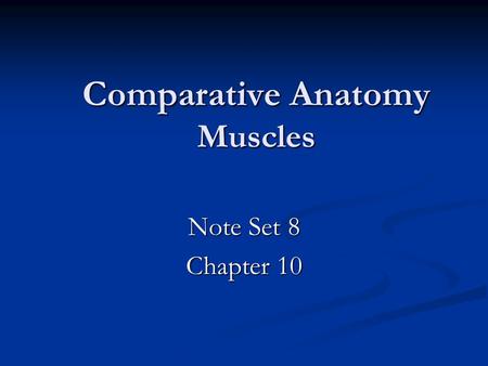 Comparative Anatomy Muscles