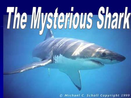 Anticipation Guide 1.) You have a higher chance of getting struck by lightning than you do getting bit by a shark. 2.) There are more shark attacks now.