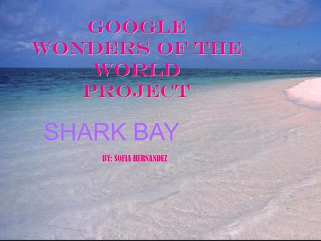 Google Wonders of the World Project SHARK BAY BY: SOFIA HERNANDEZ.