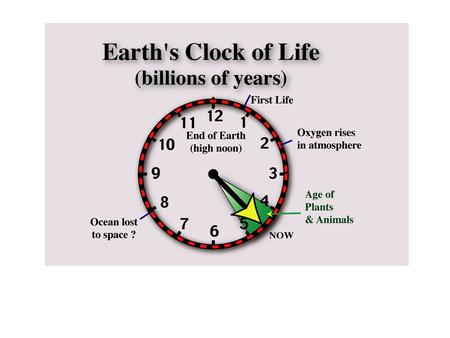 the Precambrian and the evolution of life The phylogenetic tree (‘Tree of Life’) prokaryotes eukaryotes.