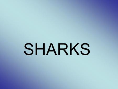 SHARKS. Hammerhead Shark Eats octopuses, squids, and smaller fish. Their wide set eyes give them a better visual range then most other sharks. Its favorite.