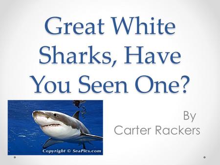 Great White Sharks, Have You Seen One? By Carter Rackers.