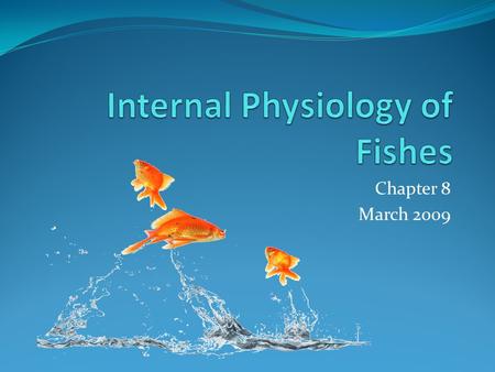 Chapter 8 March 2009. Feeding Most fishes are carnivores. plankton feeders demersal feeders open water predators Bony fishes – teeth can be found in jaw,