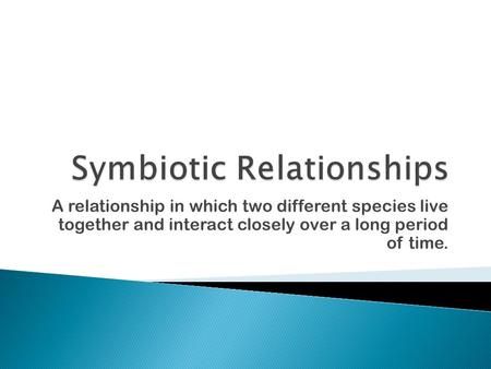 Symbiotic Relationships