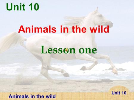 Unit 10 Animals in the wild Lesson one.