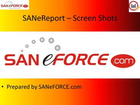 SANeReport – Screen Shots Prepared by SANeFORCE.com.