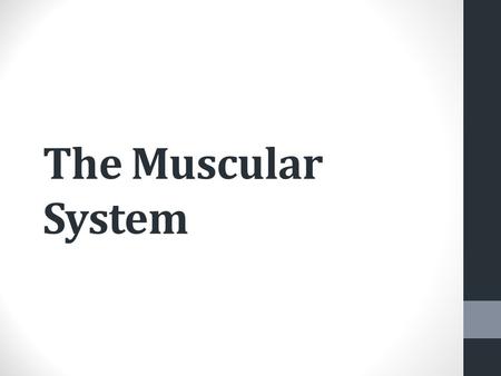 The Muscular System. WARM UP: Get an article from the front stool. Read the article. Answer the questions on the back.