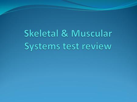 1. Compact Bone 2. Spongy Bone 3. Bone Marrow 2. What are the main functions of the skeletal system? 1.Support and Protection 2. Produce blood cells.