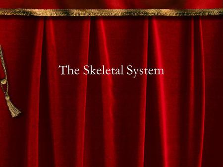 The Skeletal System. I. The Skeletal System A.List and define the 2 types of bone tissue.  1&article_set=54029&cat_id=20607.