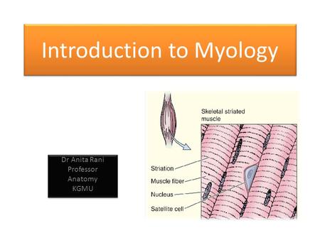 Introduction to Myology Dr Anita Rani Professor Anatomy KGMU Dr Anita Rani Professor Anatomy KGMU.