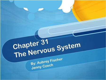 Chapter 31 The Nervous System