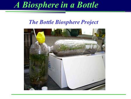 A Biosphere in a Bottle The Bottle Biosphere Project.