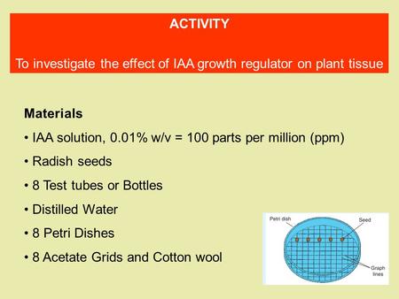 Materials IAA solution, 0.01% w/v = 100 parts per million (ppm) Radish seeds 8 Test tubes or Bottles Distilled Water 8 Petri Dishes 8 Acetate Grids and.