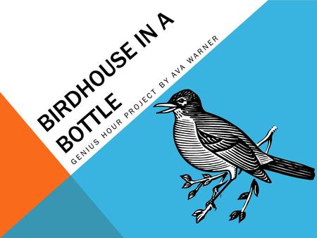 BIRDHOUSE IN A BOTTLE GENIUS HOUR PROJECT BY AVA WARNER.