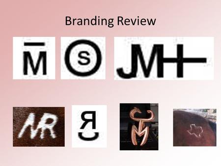 Branding Review. Issue #1: NAIS National Animal Identification System Animal Science Principles of Industry Issues in Animal Agriculture.