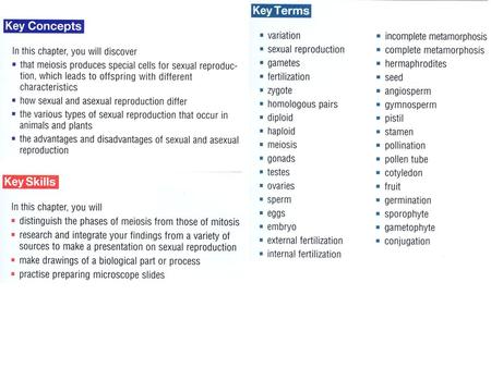 The Basics of Sexual Reproduction