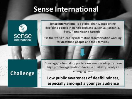 Coverage/potential supporters are swallowed up by more high profile organisations because disability is only an emerging issue Low public awareness of.