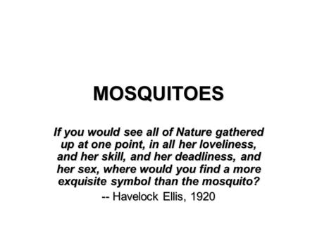 MOSQUITOES If you would see all of Nature gathered up at one point, in all her loveliness, and her skill, and her deadliness, and her sex, where would.