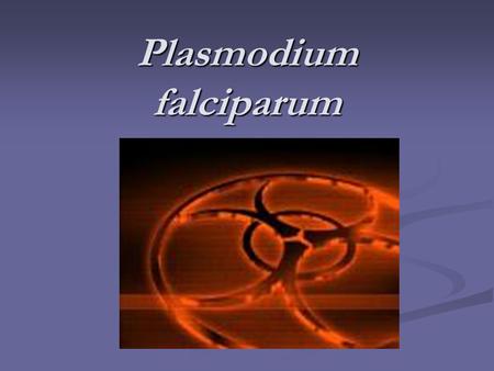 Plasmodium falciparum