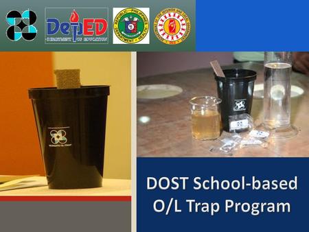 DOST School-based O/L Trap Program