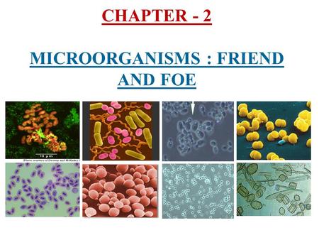 CHAPTER - 2 MICROORGANISMS : FRIEND AND FOE