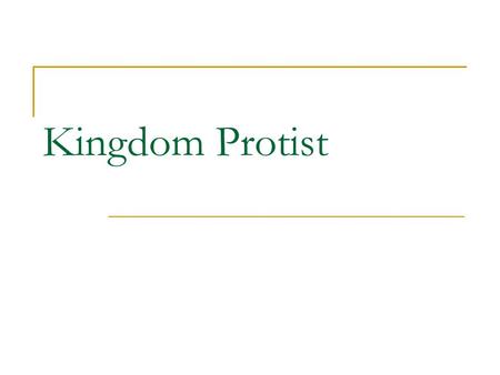 Kingdom Protist. What is a Protist? all are eukaryotes and are not animals, plants, or fungi There are 3 basic groups: 1) Animal-like protists: heterotrophs.