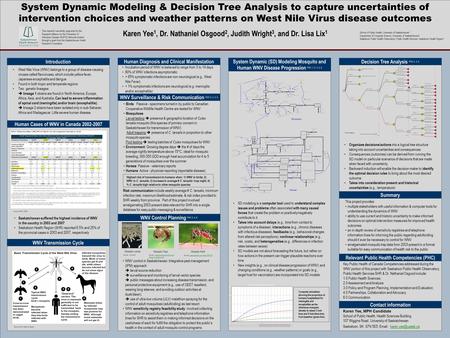 TEMPLATE DESIGN © 2008 www.PosterPresentations.com System Dynamic Modeling & Decision Tree Analysis to capture uncertainties of intervention choices and.