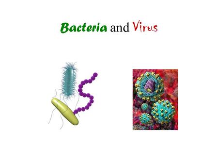 Bacteria and Virus.