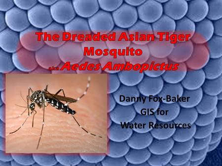 Danny Fox-Baker GIS for Water Resources. Problem Disease West Nile virus, St. Louis encephalitis, Dengue fever, Yellow fever, LaCross Virus, Chikungunya.