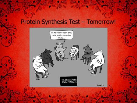 Protein Synthesis Test – Tomorrow!. Meiosis Similarities and Differences between Mitosis and Meiosis MitosisMeiosis Where does it occur in body? # Cell.