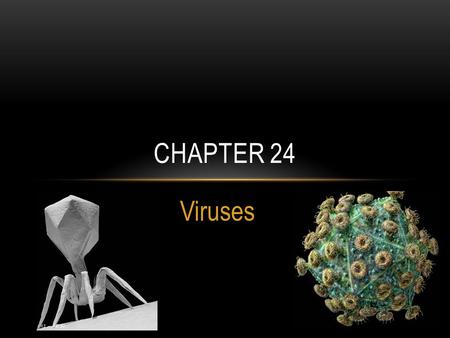 Chapter 24 Viruses.