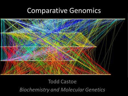 Todd Castoe Biochemistry and Molecular Genetics