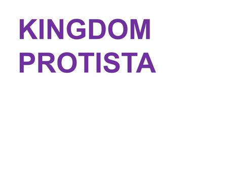 KINGDOM PROTISTA. Archaebacteria /-----------------Eukaryotes------------------\ ------ Self-replicating RNA ------ Protocells ------ RNA-dependent protein.