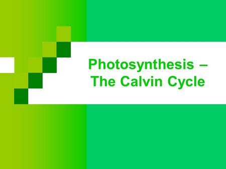 Photosynthesis – The Calvin Cycle. Calvin Cycle Incorporates atmospheric CO 2 and uses ATP/NADPH from light reaction Named for Dr. Melvin Calvin He.