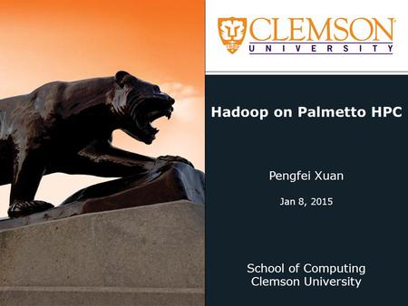 School of Computing Clemson University