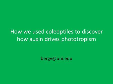 How we used coleoptiles to discover how auxin drives phototropism