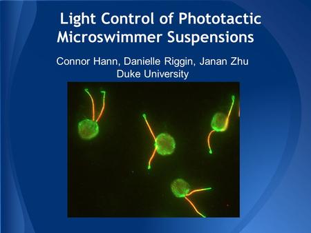 Light Control of Phototactic Microswimmer Suspensions Connor Hann, Danielle Riggin, Janan Zhu Duke University.