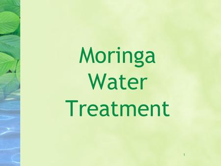 1 Moringa Water Treatment. 2 Food and oil M. oleifera is cultivated for its leaves, fruits, and roots for a variety of food and medicinal purposes An.