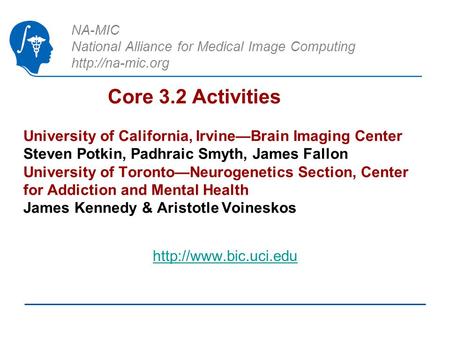 NA-MIC National Alliance for Medical Image Computing  Core 3.2 Activities University of California, Irvine—Brain Imaging Center Steven.