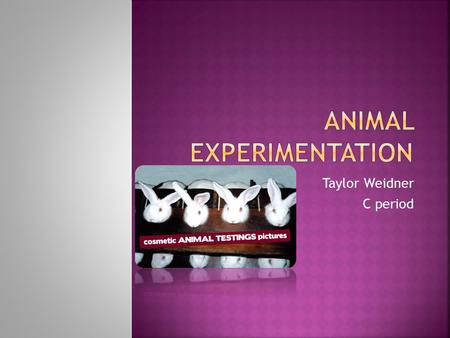 Taylor Weidner C period.  More than 100 million animals are tested on annually.  61% of animals used suffer no pain  31% have pain relieved with anesthesia.