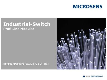 Industrial-Switch Profi Line Modular