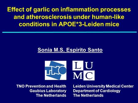 Effect of garlic on inflammation processes and atherosclerosis under human-like conditions in APOE*3-Leiden mice Sonia M.S. Espirito Santo TNO Prevention.