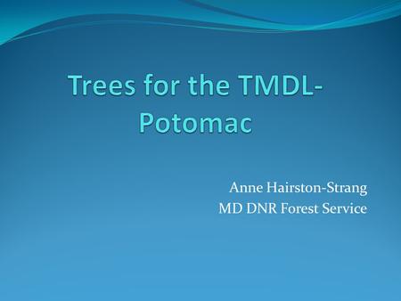 Anne Hairston-Strang MD DNR Forest Service. Overall Project Components Lower nutrients and sediment; Tree planting Buffer restoration Buffer monitoring.