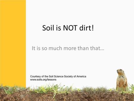 Soil is NOT dirt! It is so much more than that…. Dirt gets under our fingernails, and on our clothes… …then what is SOIL ? How does it differ from dirt.