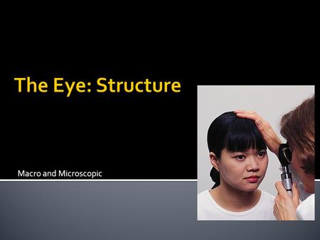 Macro and Microscopic.  Protected by bony orbits of the skull  Send information to brain directly via optic nerve.