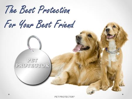 The Best Protection For Your Best Friend PET PROTECTOR®