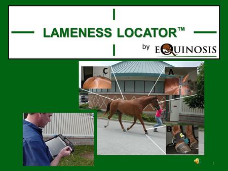 1 LAMENESS LOCATOR ™ by System components 2 3 4.